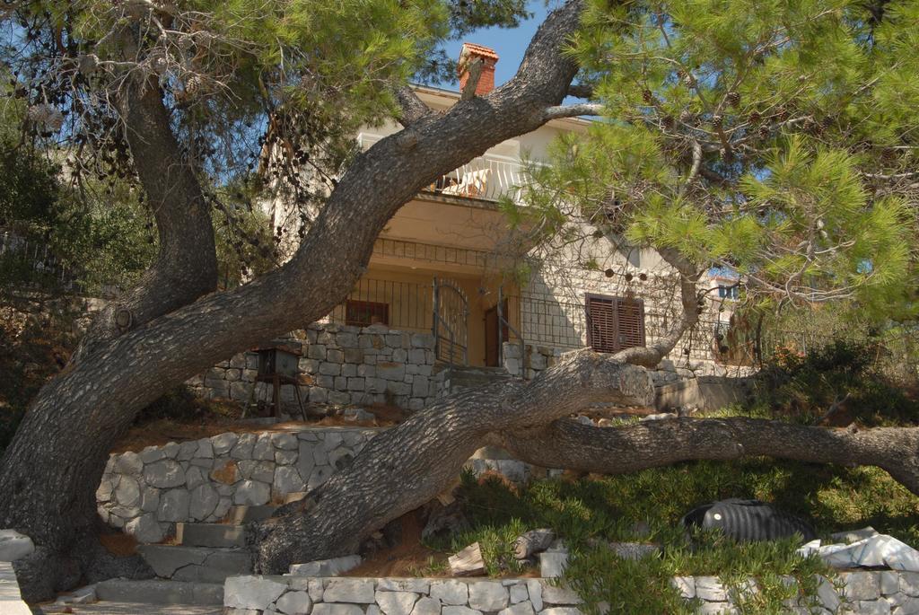House Andrea Villa Lastovo Luaran gambar