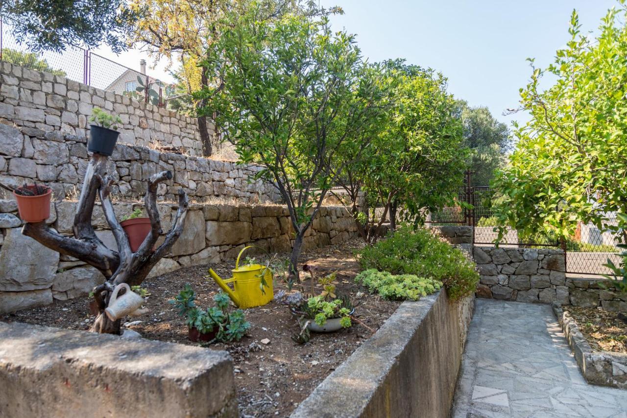 House Andrea Villa Lastovo Luaran gambar